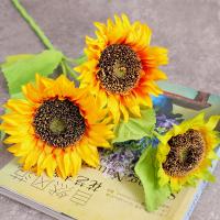 uploads/erp/collection/images/Home Garden/CongDing/XU0611469/img_b/XU0611469_img_b_2